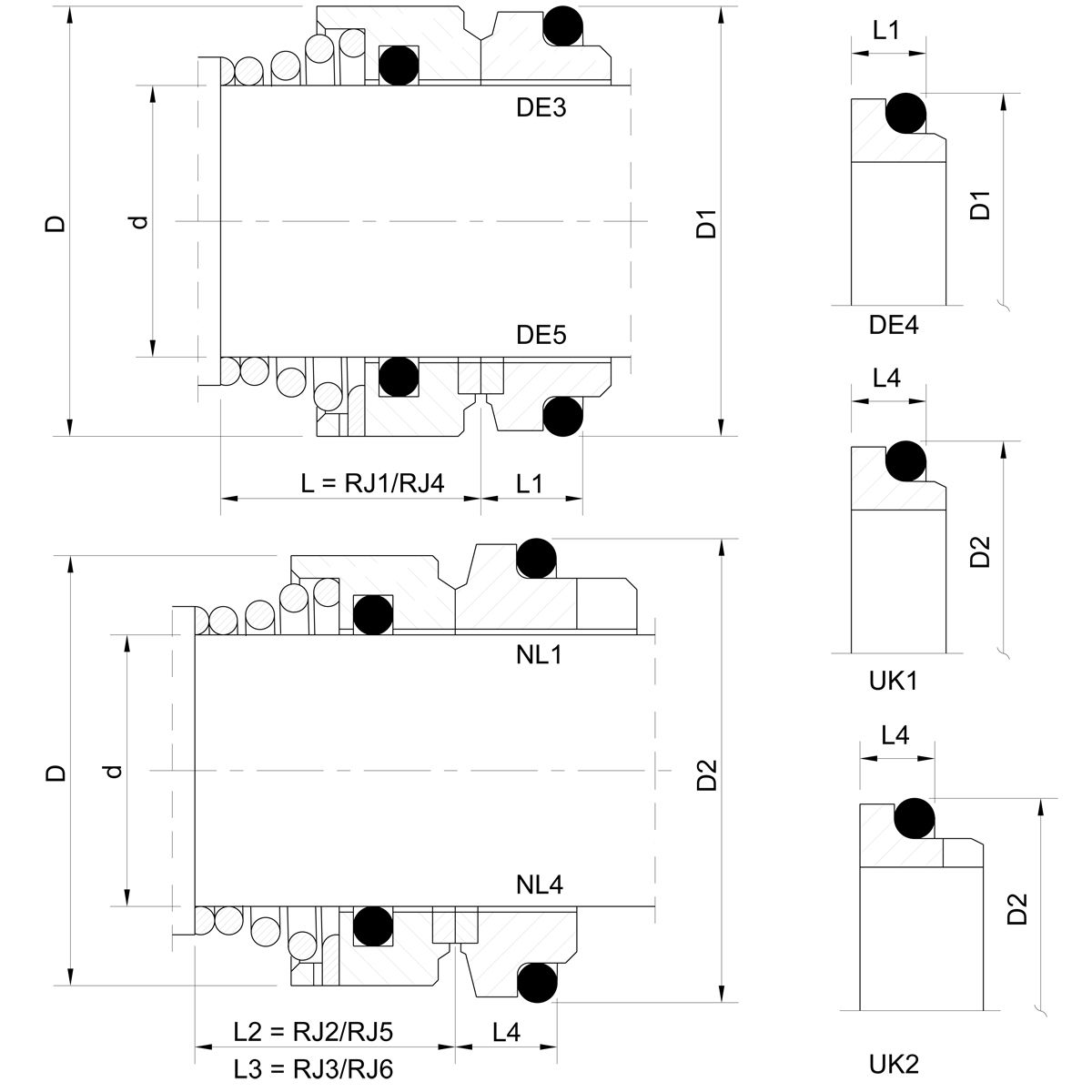 Mechanical seal RIO (technical drawing)