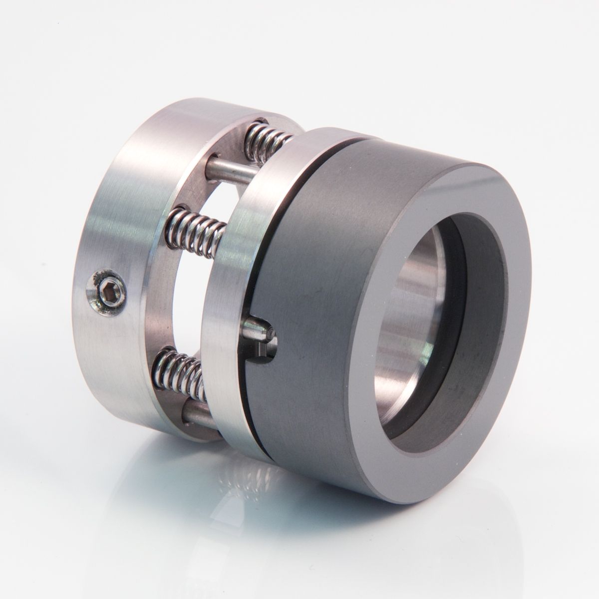 Mechanical seal PARIS (Multiple springs process seals)